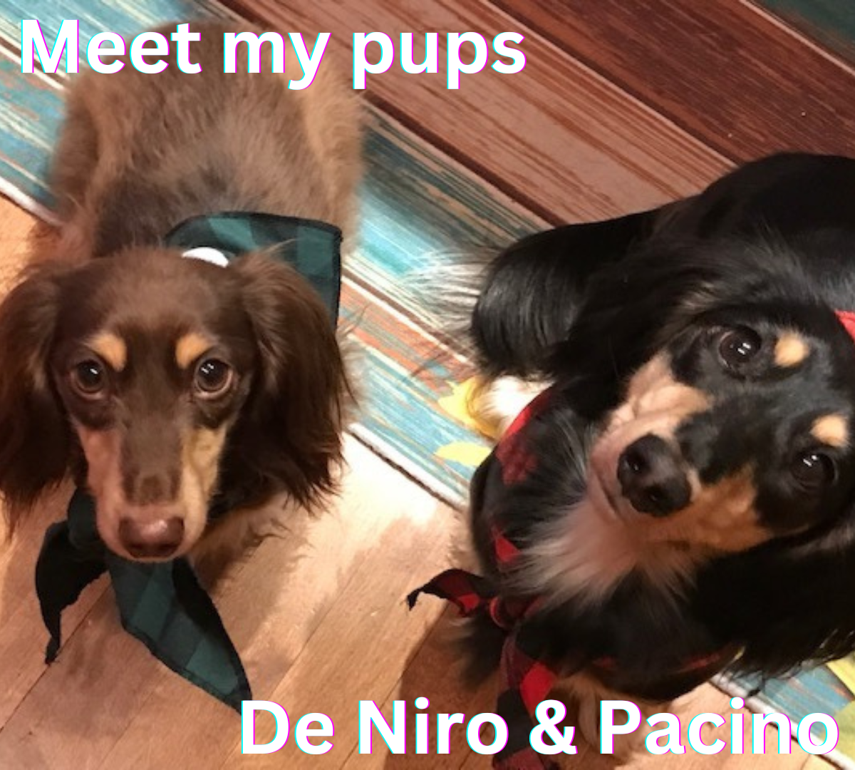 The Pups